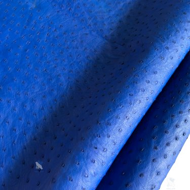PREMIUM FULL-QUILL OSTRICH SKIN – STATEMENT COBALT BLUE