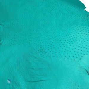 PREMIUM FULL-QUILL OSTRICH SKIN – CHIC TURQUOISE
