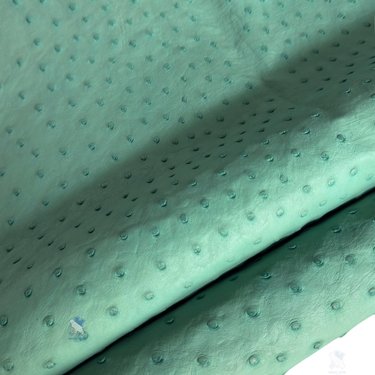 PREMIUM FULL-QUILL OSTRICH SKIN – ELEGANT PASTEL MINT GREEN