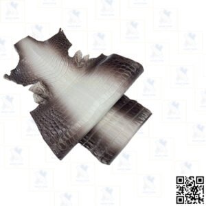 Glazed Himalaya Crocodile Skin