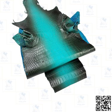 Glazed Siamensis Skin – Turquoise/Black Gradient