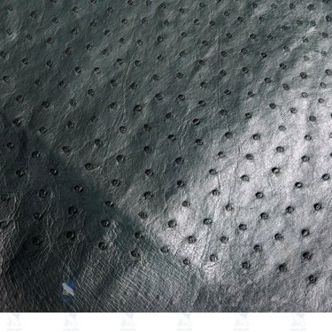 PREMIUM FULL-QUILL OSTRICH SKIN – SOPHISTICATED CHARCOAL GREY