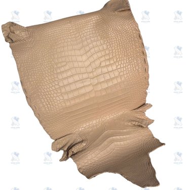 PREMIUM CROCODILE BELLY LEATHER – ELEGANT NUDE BEIGE (QUIET LUXURY)