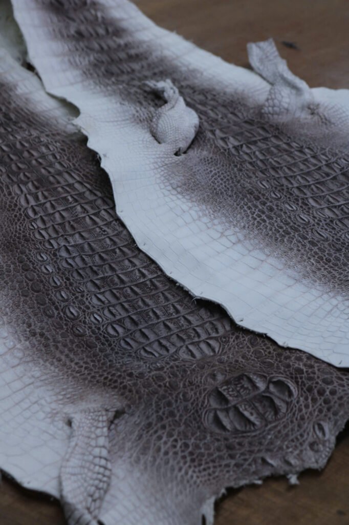 Raw Finished Whole-Skin Crocodile Leather - Himalaya Series